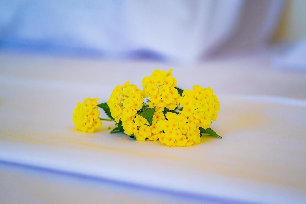 Cambria Hotel Nosy-Be Zewnętrze zdjęcie
